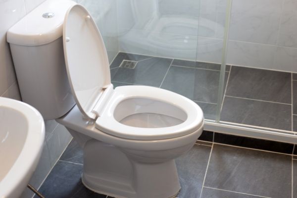 Cost of Toilet Replacement in Bradenton