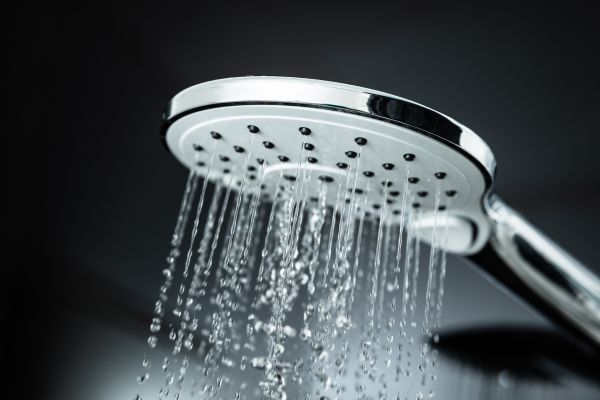 Cost of Shower Head Replacement in Bradenton