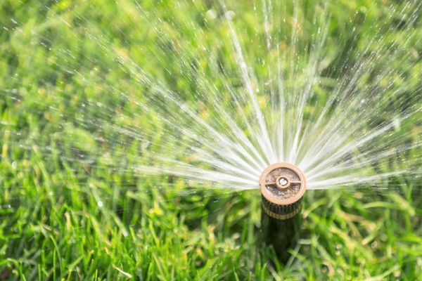 Cost of Spigot Installation in Bradenton
