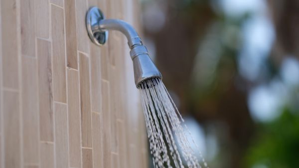 Cost of Showerhead Repair in Bradenton