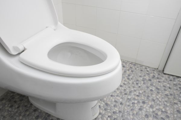 Cost of New Toilet Installation in Bradenton