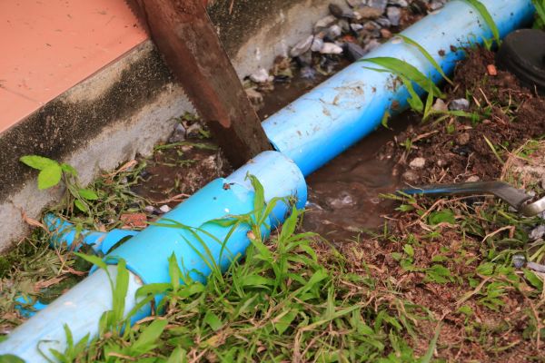 Cost of Broken Pipe Replacement in Bradenton